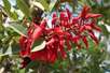 Botanischer Garten Berlin barrierefrei Botanischer Garten Berlin barrierefrei